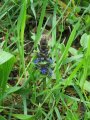 ../thumbnails/057-IMG_1062.jpeg.small.jpeg